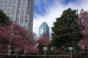 Winston Salem Photography