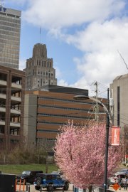 Winston Salem Photography
