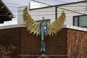 Winston Salem Photography