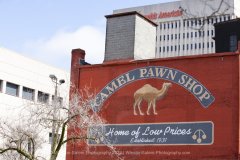 Winston Salem Photography