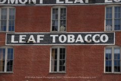 Winston Salem Photography