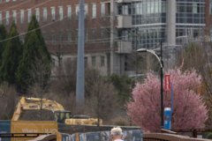 Winston Salem Photography