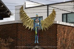 Winston Salem Photography